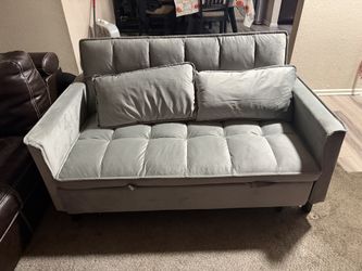 Love seat pull out couch