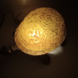 Brass And Amber Colored Turtle Lamp