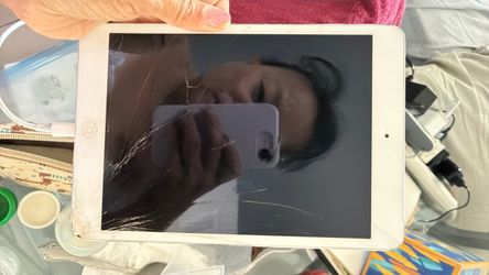 iPad mini