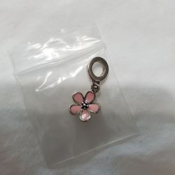 Pandora Charm