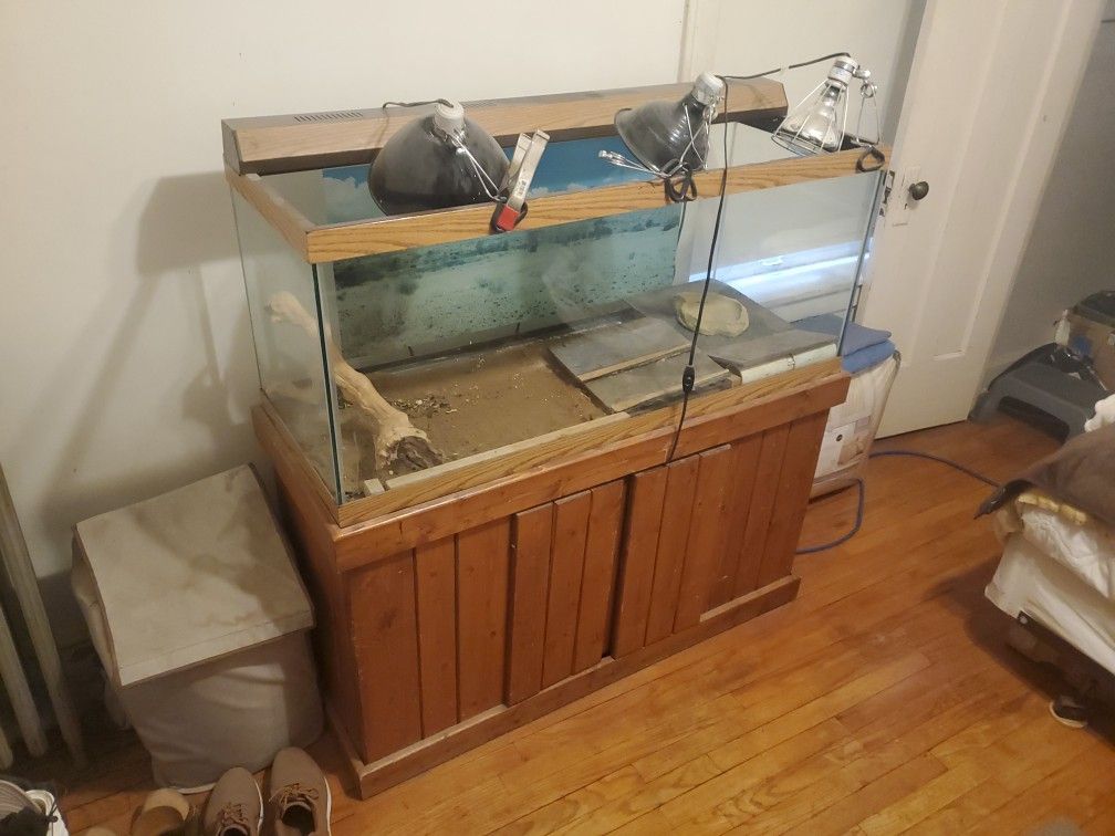 Large Aquarium With Stand