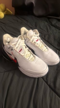 Lebrons in size 12