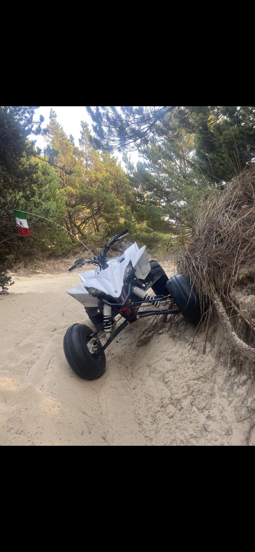 Yfz 450R Se