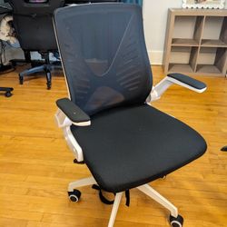 Ergonomic Mesh Office Chair