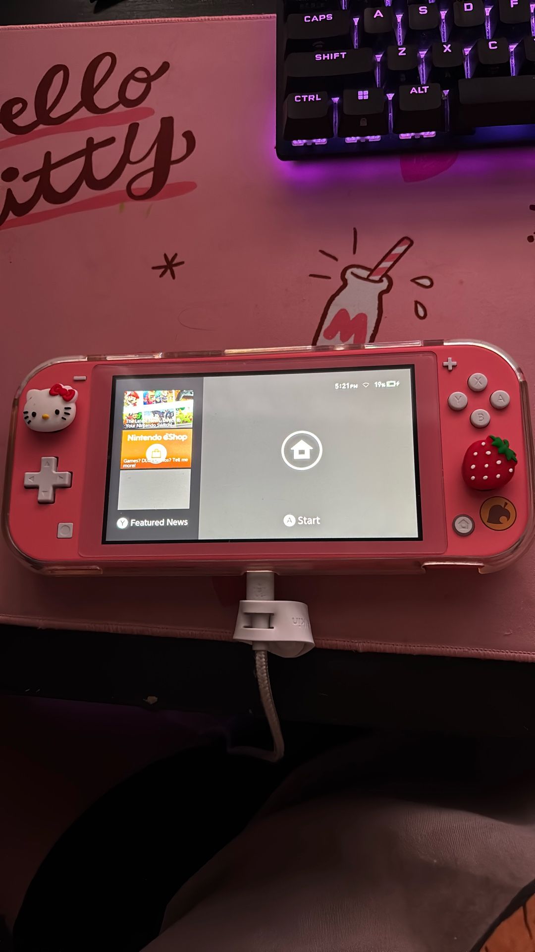 Nintendo switch animal crossing edition
