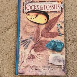 Rocks and Fossils 