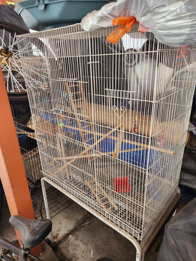 Bird Cages