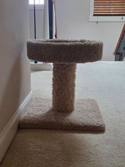 Short cat scratching post