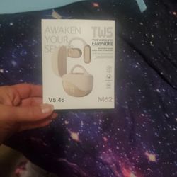 Translating Blutooth Ear buds