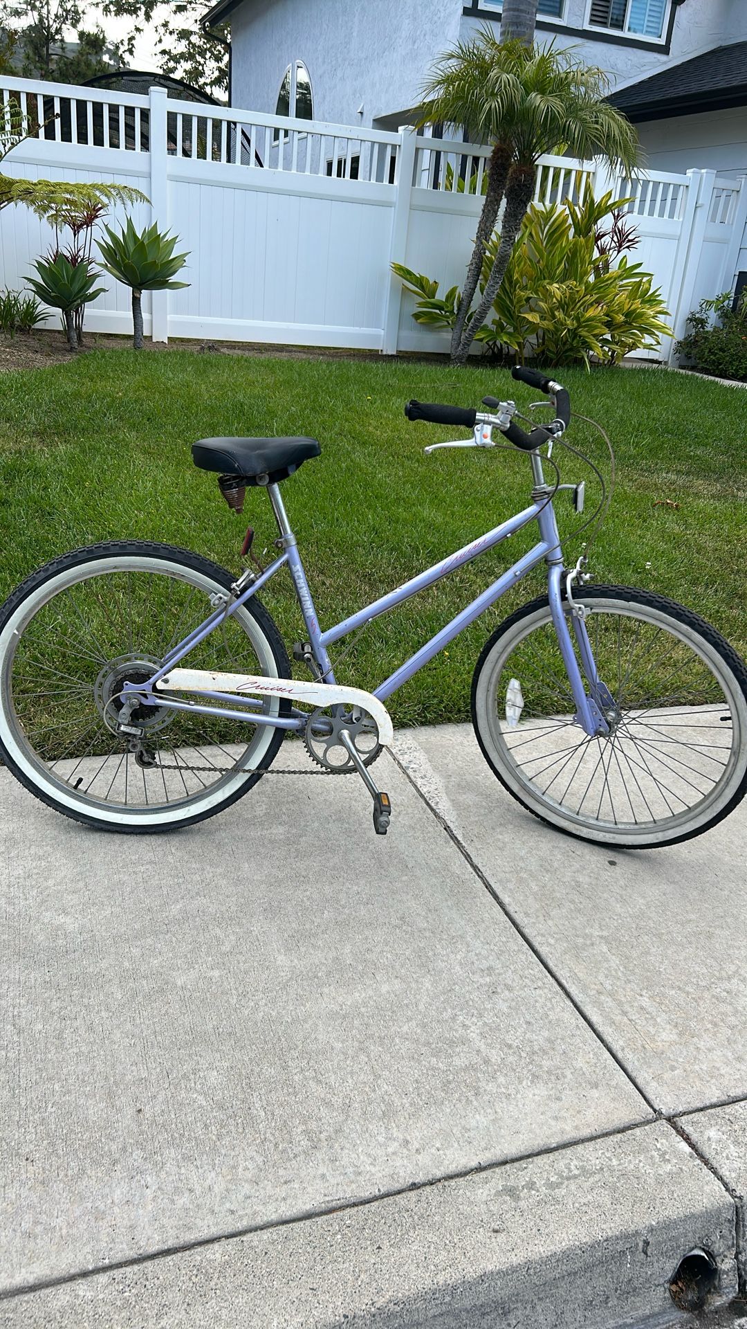 Schwinn Bike