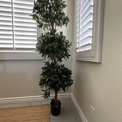 Faux Plant 