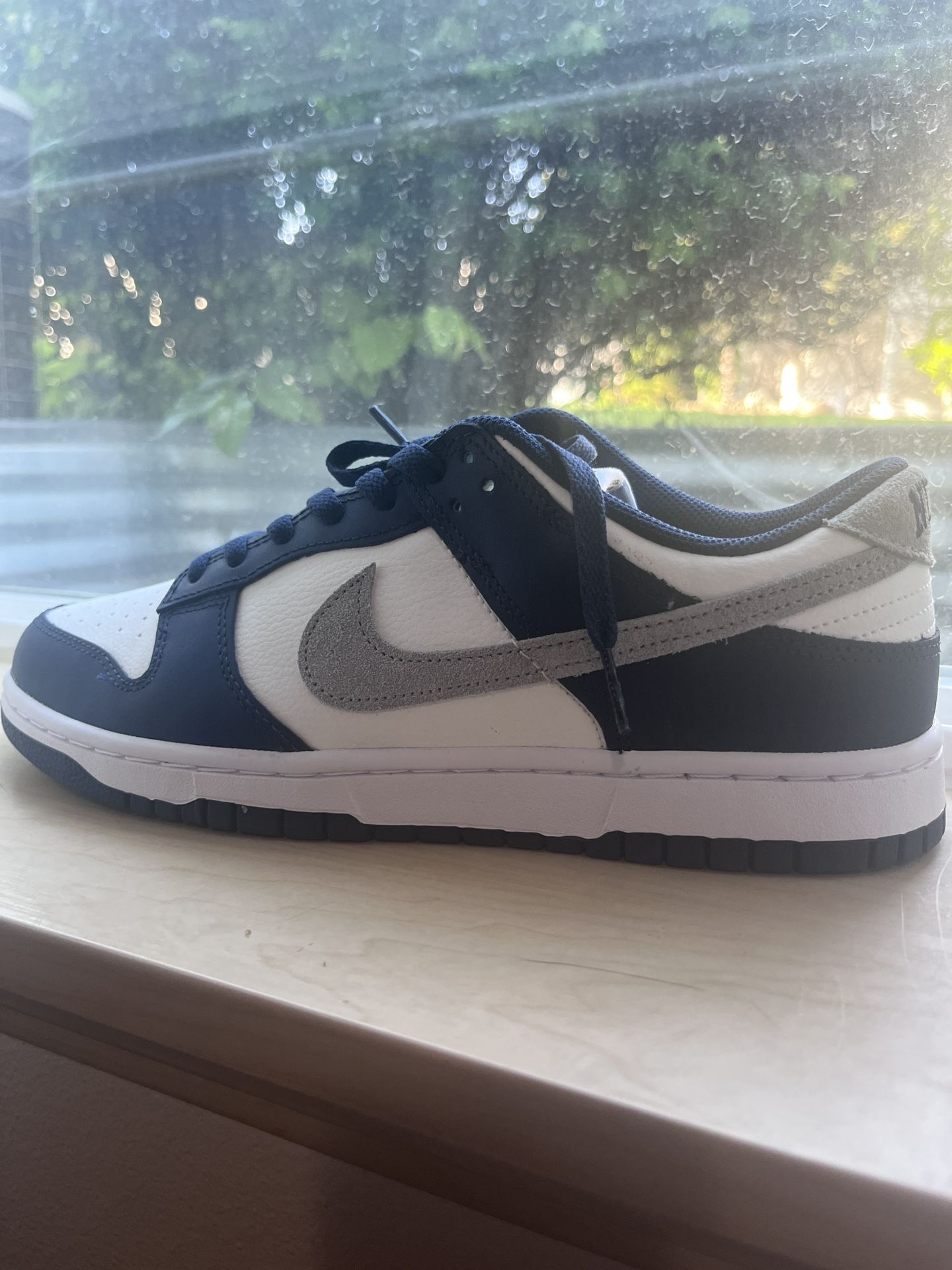 Nike midnight Dunks