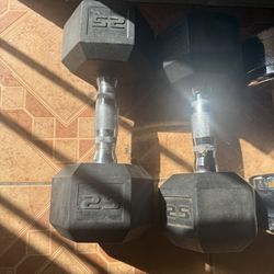 25lbs Pair And 30lbs Pair 