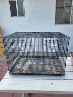 Bird cage