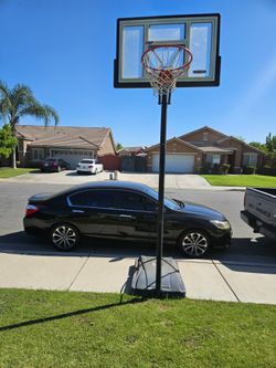 Basketball court