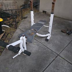 Work Out Bench 
