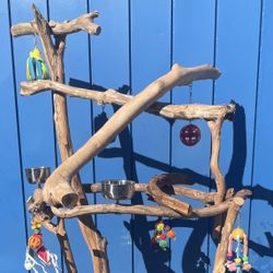 Thick N Curvy Macaw Perch Tree… Dual Level And Not Too Tall , Great For Training !
