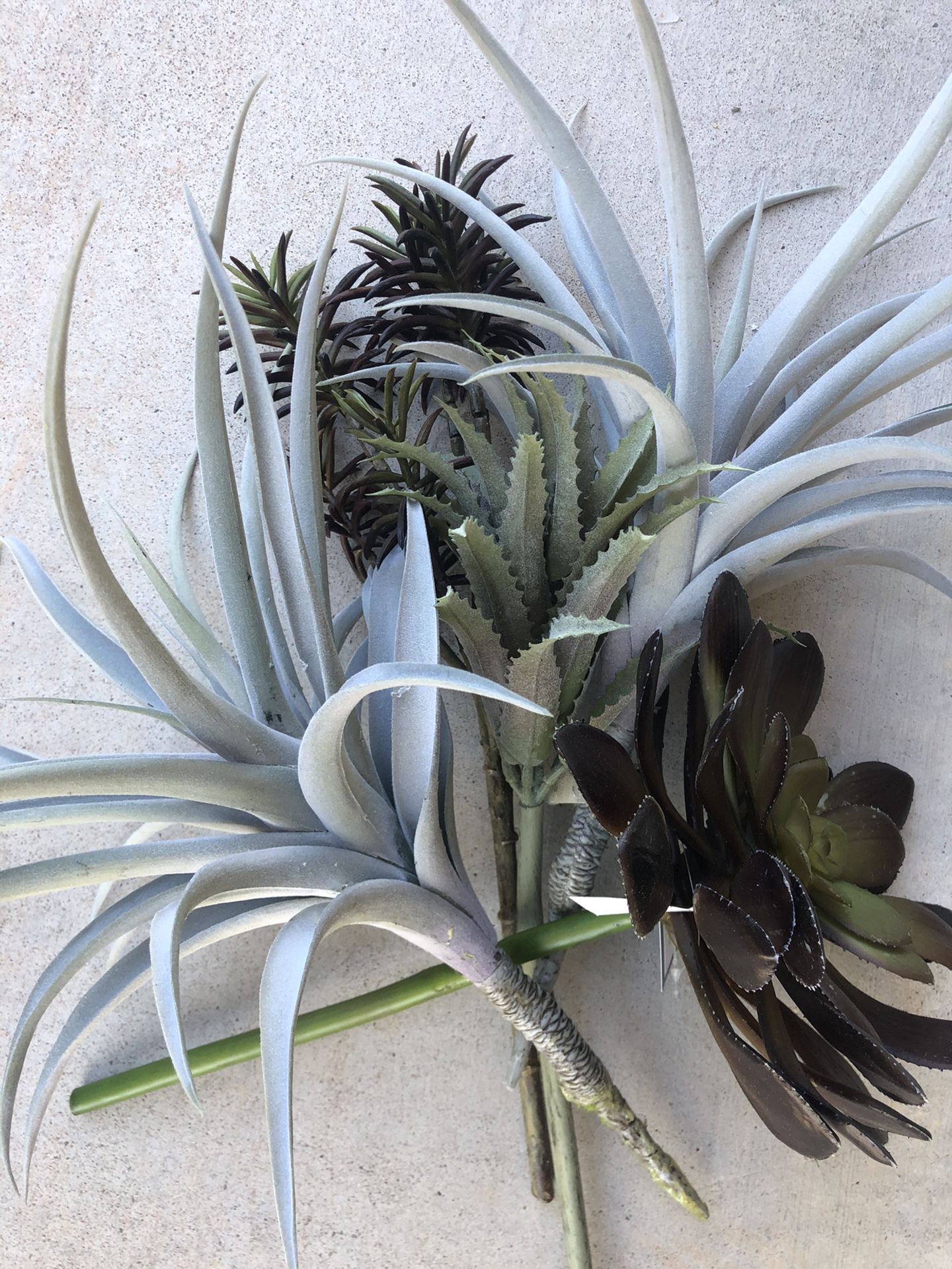 5 Succulent Fake plants lot