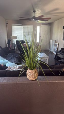 Fake plant