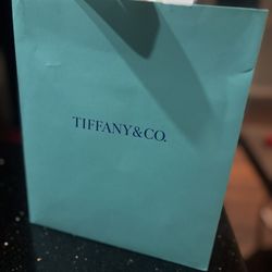 🎀 Tiffany & Co. Silver Holiday Ornament – BRAND NEW w/ Bag & Card