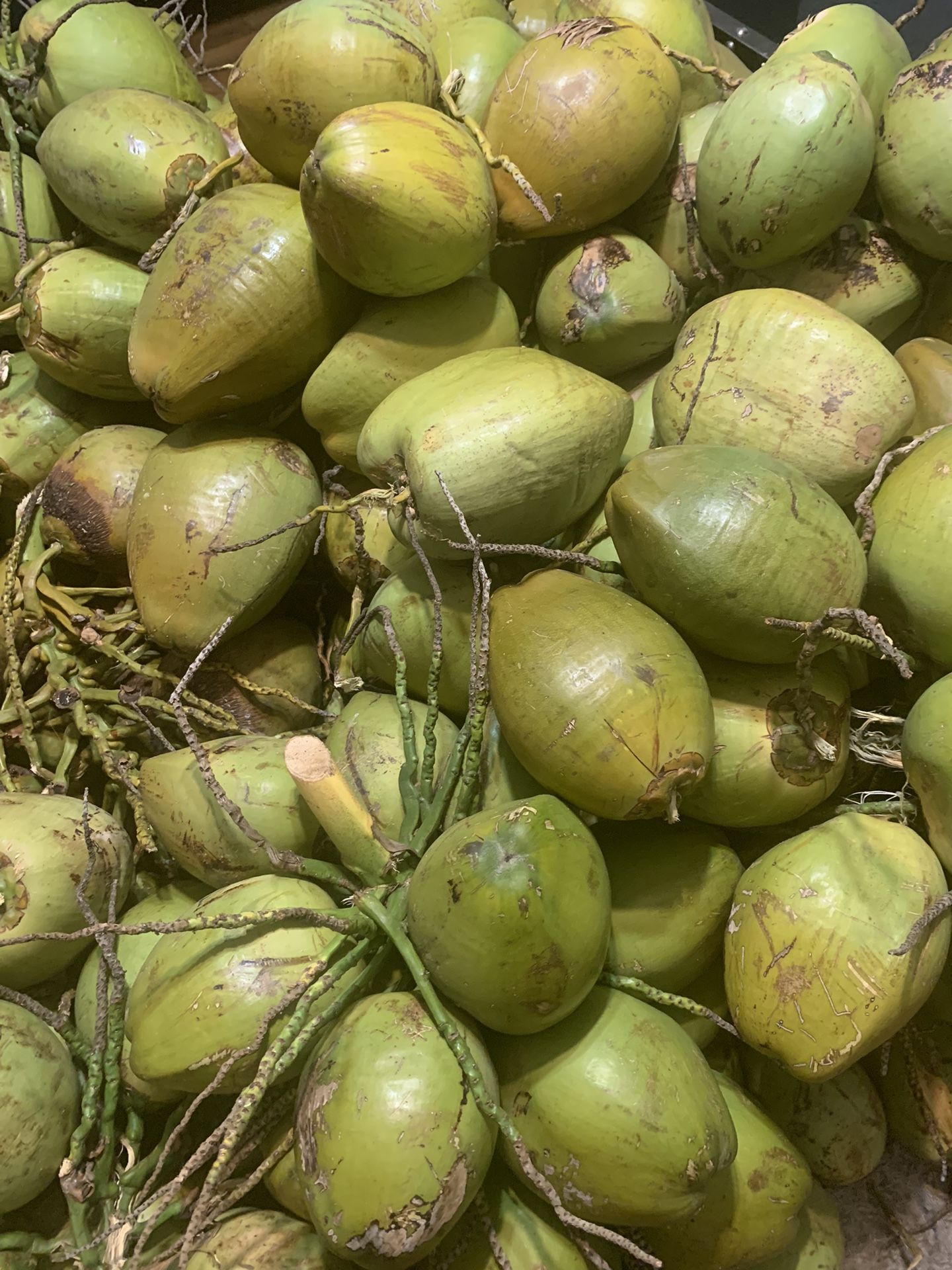 Fresh Coconut 
