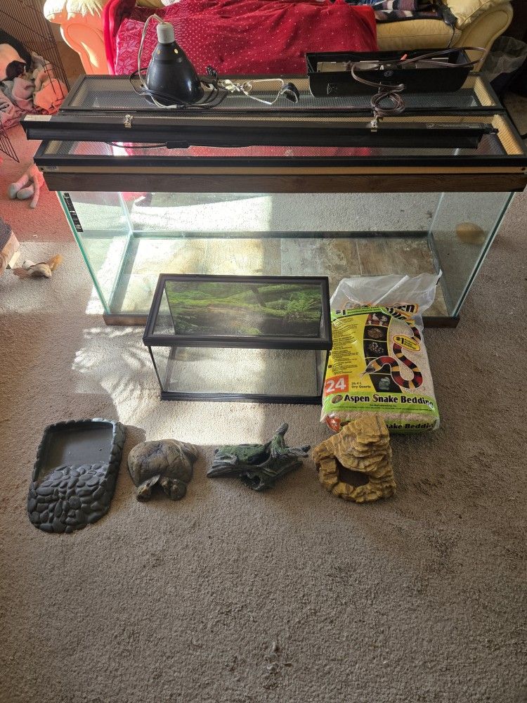 Bearded Dragon Assessories