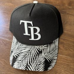 Rays Baseball Hat Custom