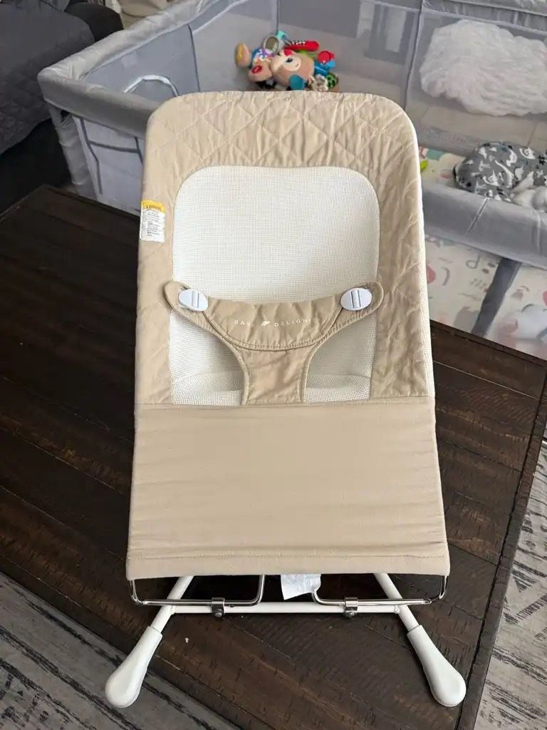 Baby Delight Bouncer