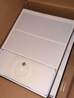 Blank security check paper