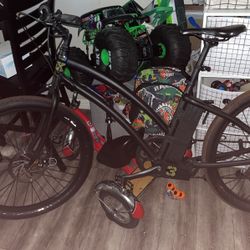 Electric Bike