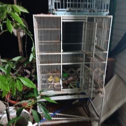 Birdcages