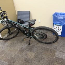 Electric Ebike Schwinn Roanoke 29" 500W