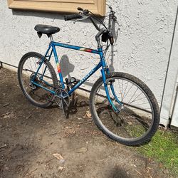 Peugeot City Express Mountain Bike