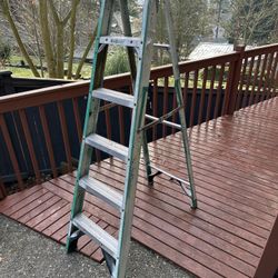 Werner 6ft Ladder