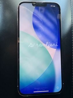 iPhone 13 Pro Max Unlocked