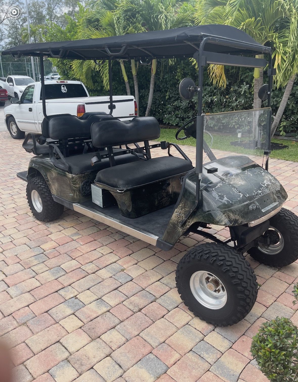 Electric Golf Cart