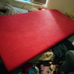 Large Dog Bed / Day Bed 
