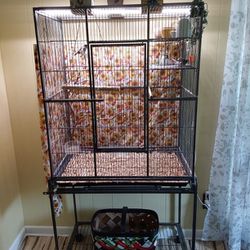 Society Finches And Large Cage