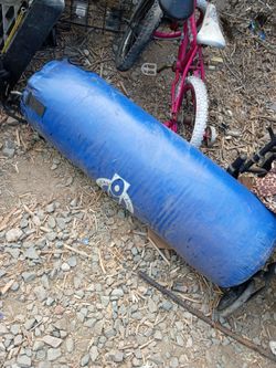 100lb bag