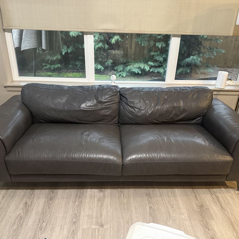 Gray leather couch & chair from Dania