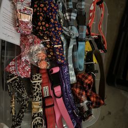 Dog Collars 