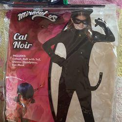 Cat Noir From Miraculous Ladybug 