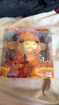 Highland Cow
