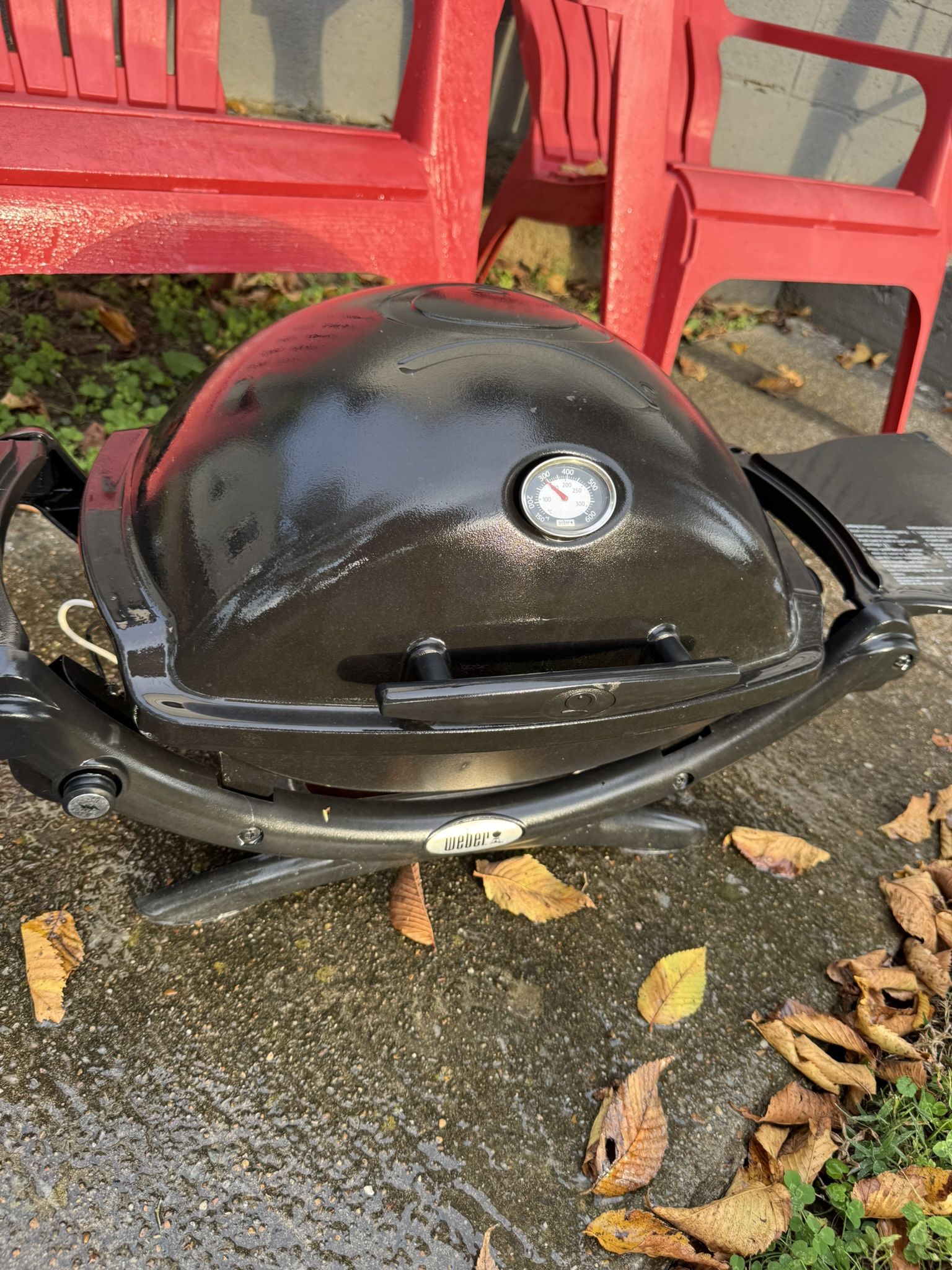 Portable Weber Gas Grill