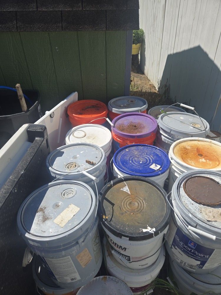Paint