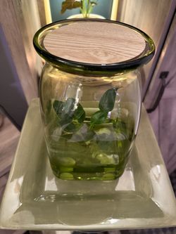 Firefly Jar Water Birkin