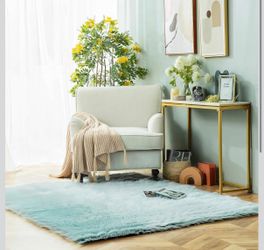 Ashler Faux Fur Rug, Fluffy Shaggy Area Rug Ultra Soft 5 x 7 Feet NEW!
