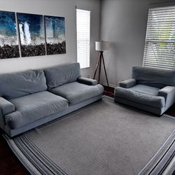 Goose down couches