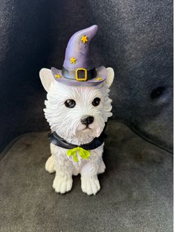 Halloween  westie  west highland  Dog