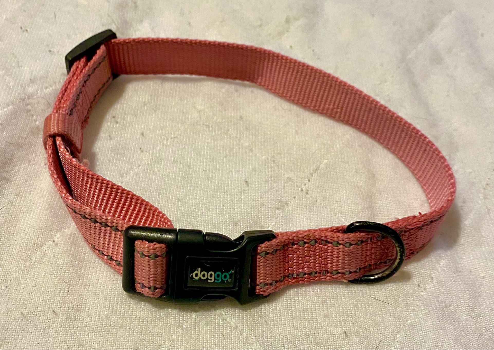 Dog Collar - Reflective
